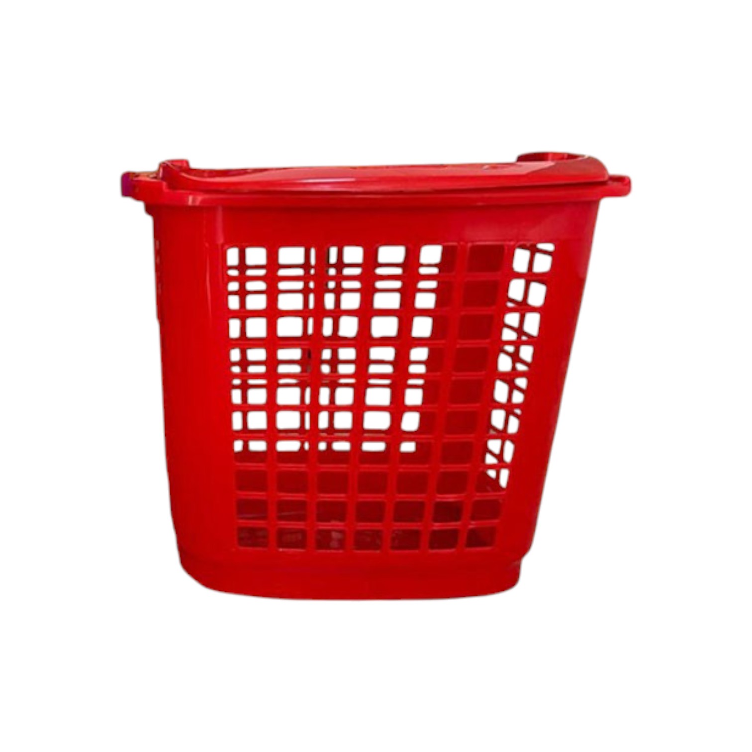 HOG-0028-20250430194856.jpg